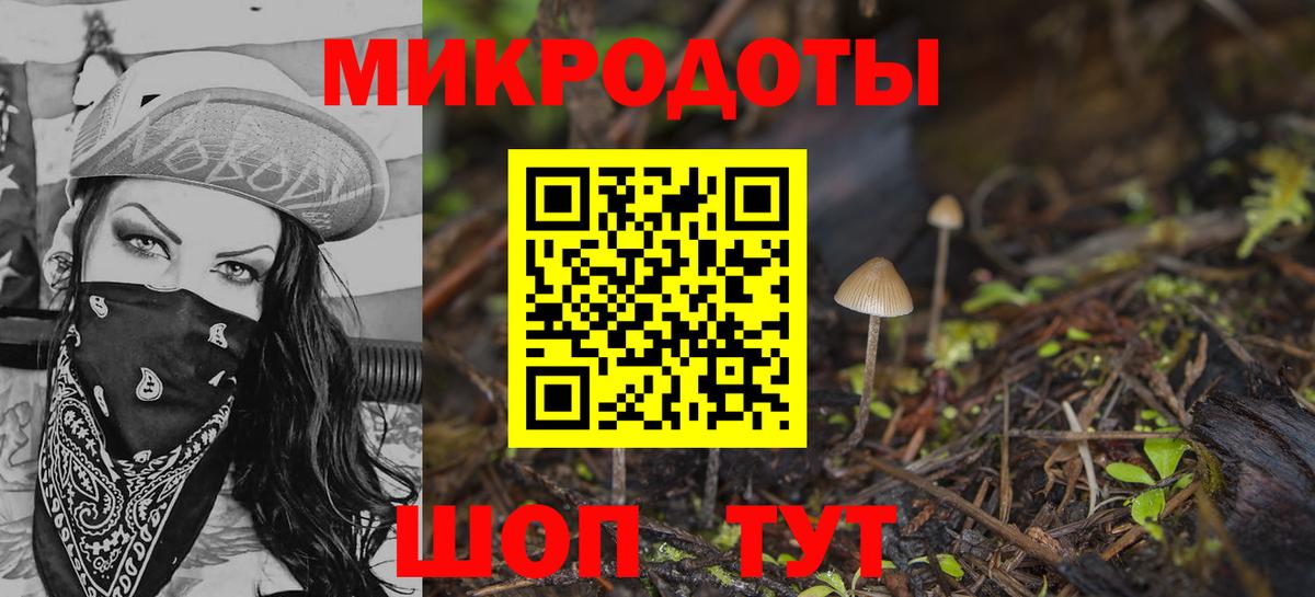 Псилоцибиновые грибы Cubensis  Вход с VPN  Псилоцибиновые грибы Psilocybine cubensis  Одинцово 